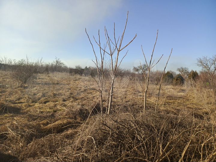 Участок 17,15 га (ИЖС)