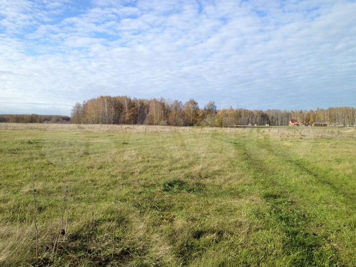 Участок 10 сот. (ИЖС)