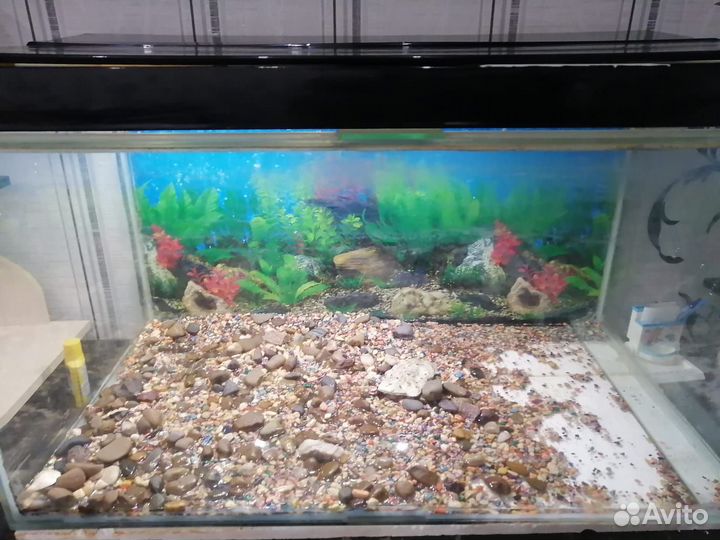 Аквариум