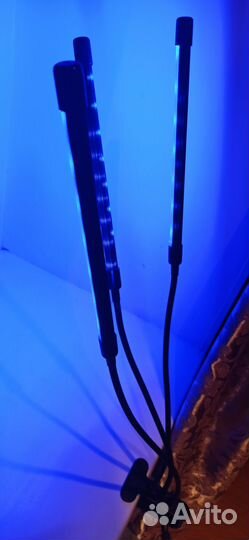 Фитолампа для растений