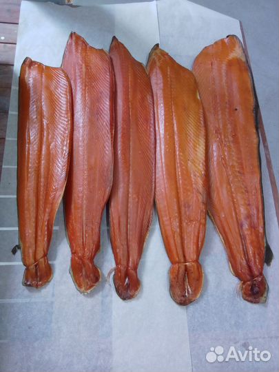 Рыба вяленая и холодного копчения