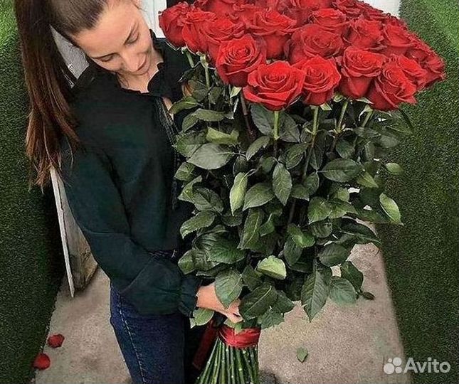 Розы гиганты 140 150 160 170 180 200