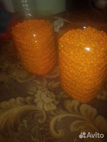 Облепиха Саженцы и Ягода