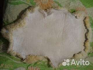 Шкура овчины