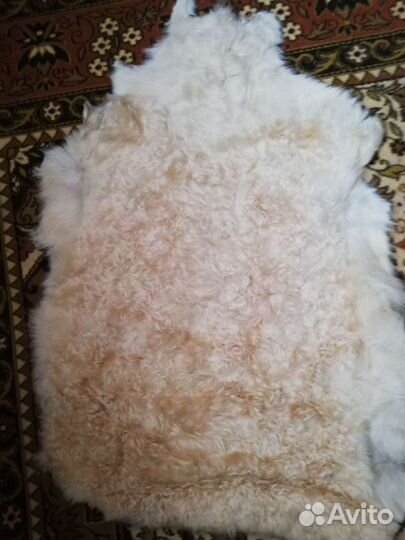Шкура овчина