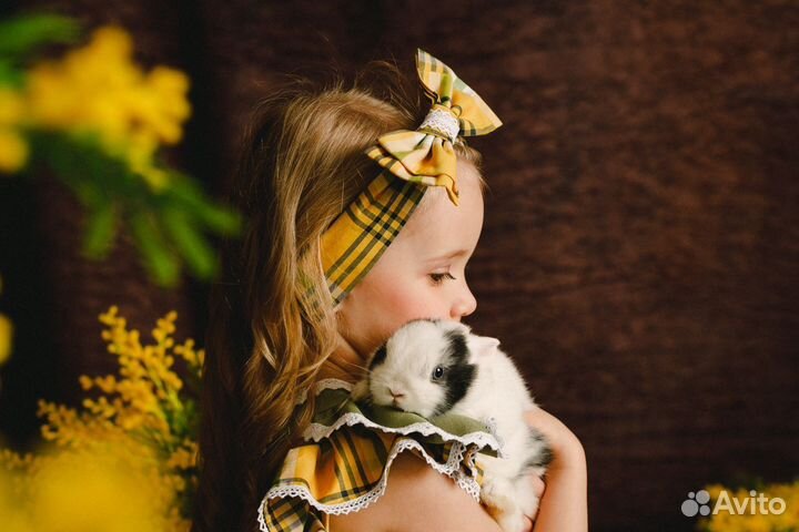 Фотосессия, с декоративными кроликами аренда