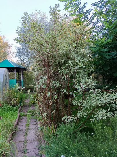 Дом 141,5 м² на участке 22 сот.