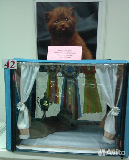 Украшение на палатку для выставки кошек