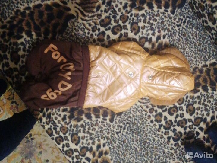 Зимняя куртка для собак