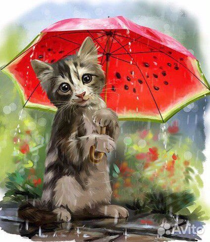 Кулирка с лайкрой 95/5