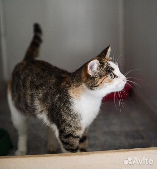 Каждый может потерять голову увидев нашу Нюшу)