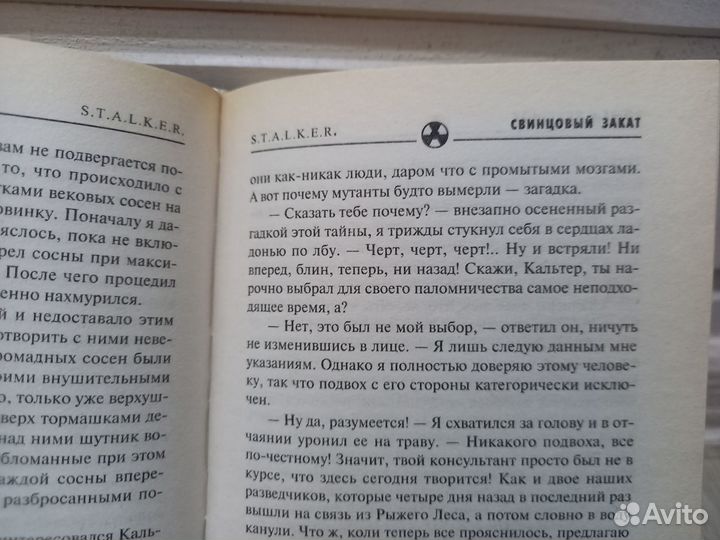 Роман Глушков «Свинцовый закат»