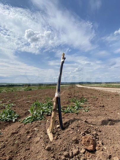 Участок 7 сот. (СНТ, ДНП)