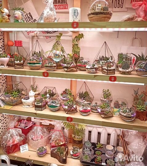 Флорариум в подарок