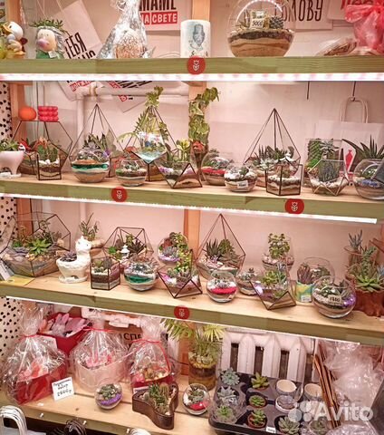 Флорариум в подарок