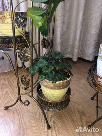 Кованные подставки,растения,горшки