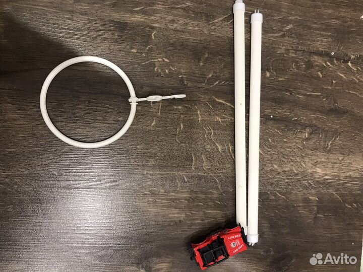 Для попугая