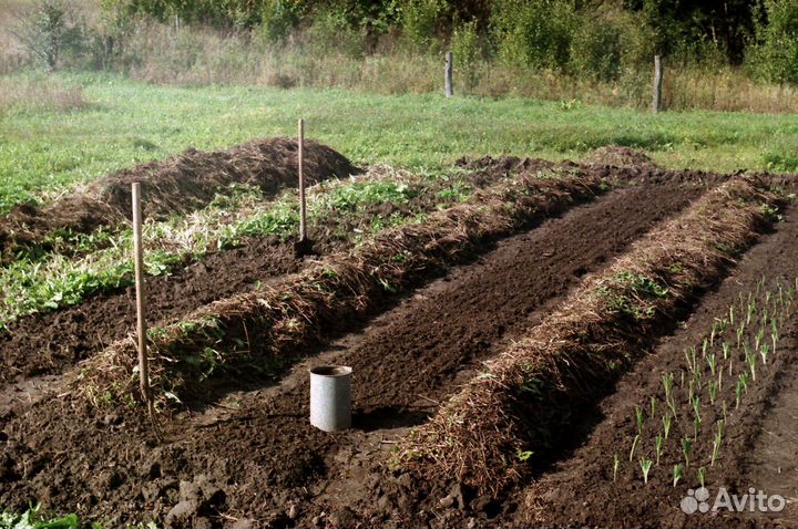 Торф торфосмесь