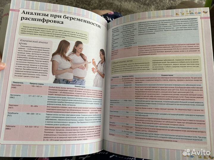 Ирина Чеснова Книга 