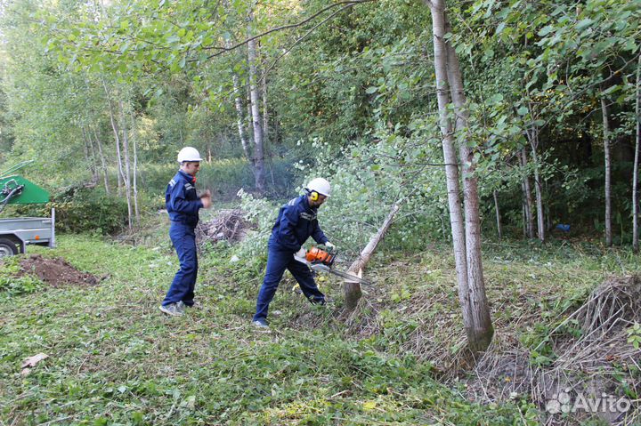 Измельчитель веток (дробление)