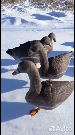 Чучела гусей (новые )
