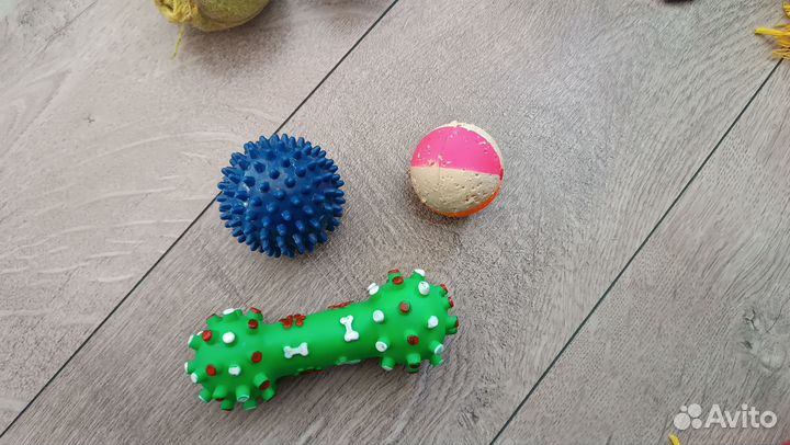 Игрушки ошейник поводок