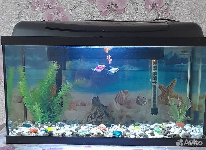 Аквариум