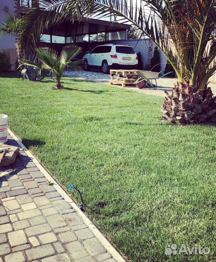 Рулонный газон от производителя. Быстро и удобно