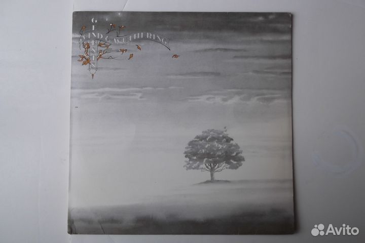 Виниловые пластинки. genesis gillan grand funk