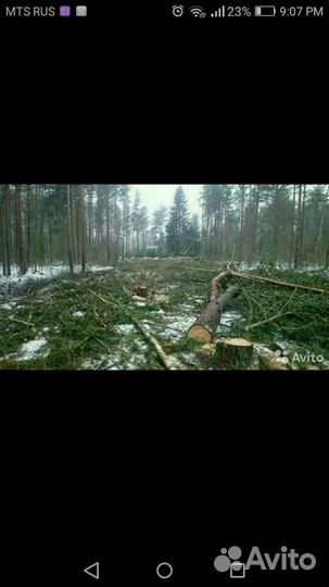 Вырубка участков