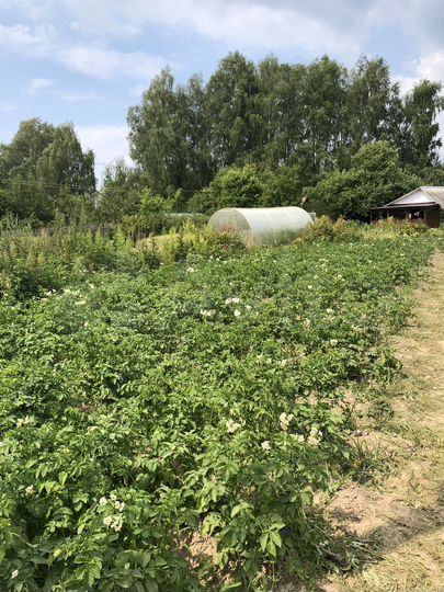 Участок 8,3 сот. (СНТ, ДНП)