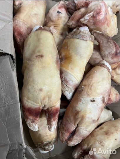 Копыта говяжьи