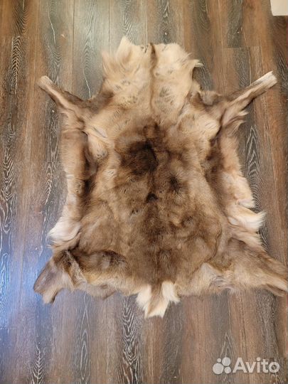 Шкура оленя