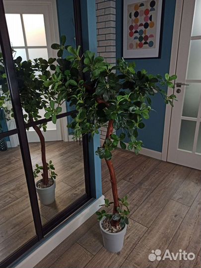 Искусственное дерево шефлера