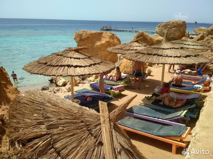 Египет на 9 ночей вылет 24.08