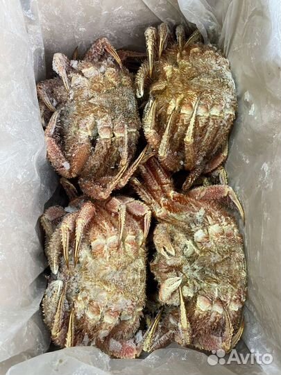 Морепродукты