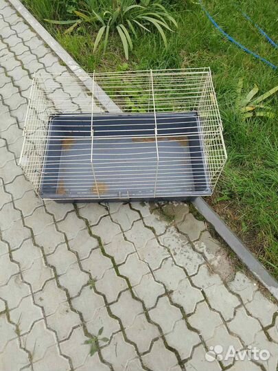 Клетка для морской свинки
