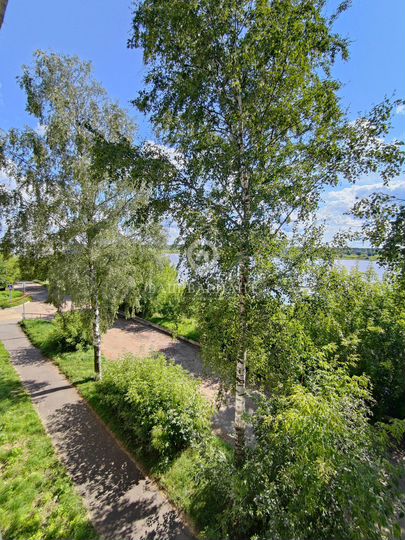 3-к. квартира, 54,8 м², 3/3 эт.