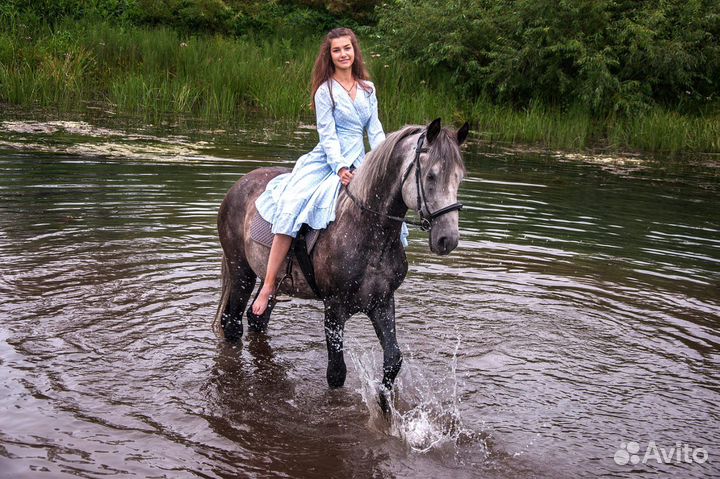 Прокат лошадей