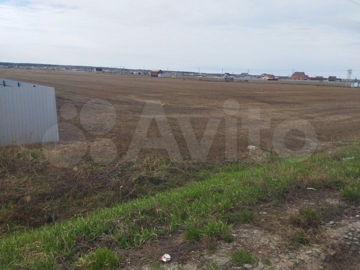 Участок 79,9 сот. (СНТ, ДНП)
