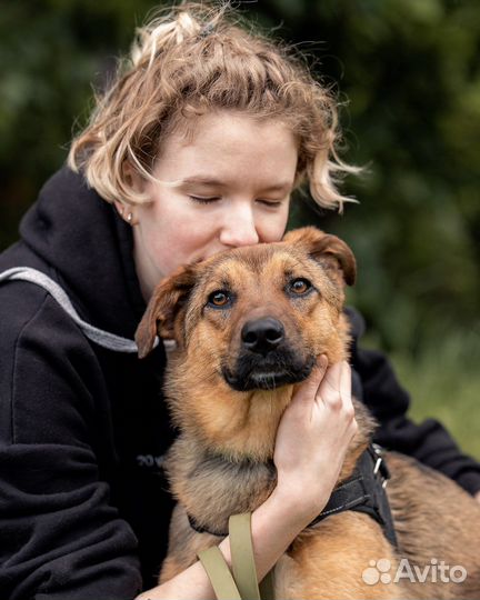 Маленькая собака в добрые руки
