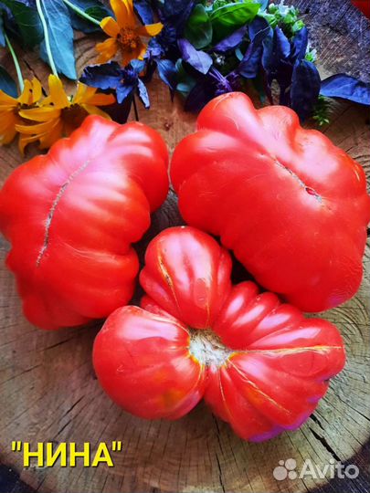 Комплект семян томатов (20 сортов)