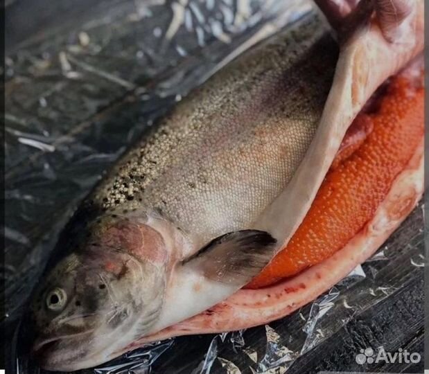 Рыба и морепродукты