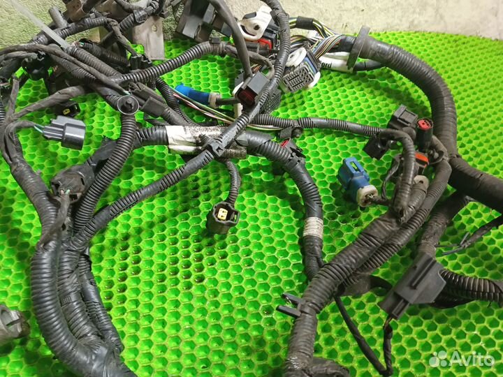 Проводка моторного отсека Ford Focus