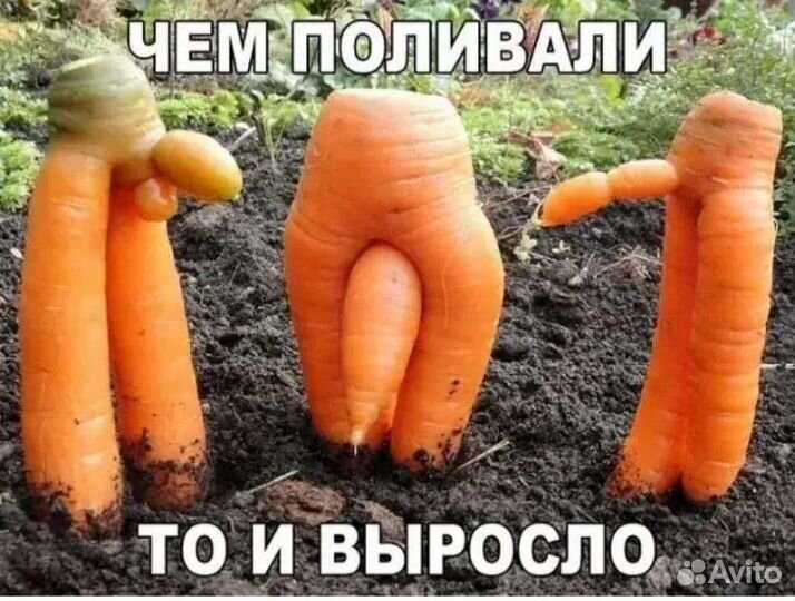 Требуются рабочие на посевную