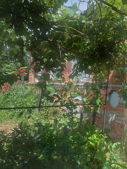 Дом 35 м² на участке 30 сот.