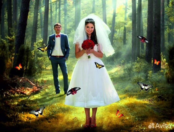 Салют из Живых Тропических Бабочек с/б-22