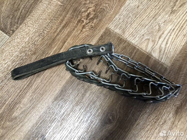 Набор для собак