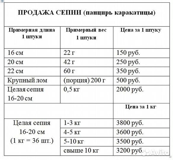 Волнистые попугаи