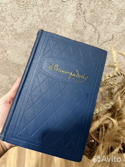 Анатолий Виноградов 